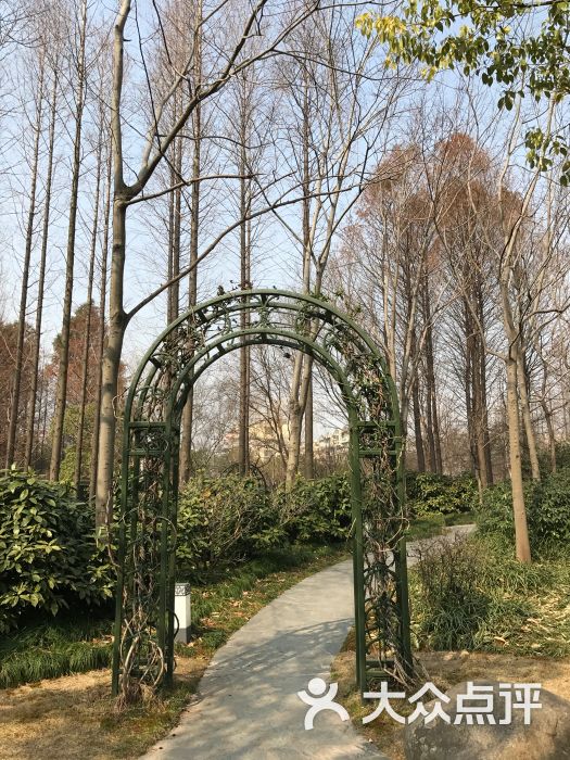 清涧公园-图片-上海周边游-大众点评网