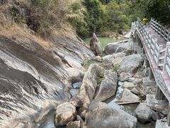 -广州白江湖森林公园