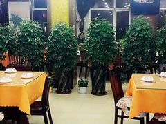 -凤百年大骨鸡饭庄