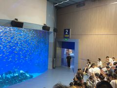 -合肥海洋世界