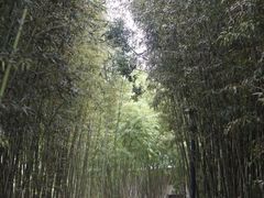 -福建鲤鱼洲酒店