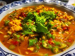 鱼蛋-飞虹鱼馆(春华路店)