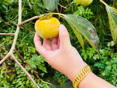 -丝绸小镇荻港古村