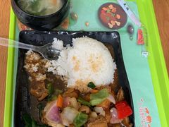 -上海野生动物园老虎餐厅