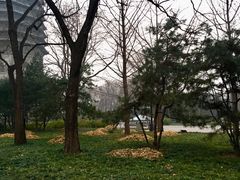 -玲珑塔公园