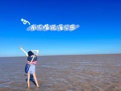 -南汇嘴观海公园
