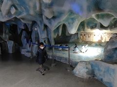 -中国第四纪冰川遗迹陈列馆