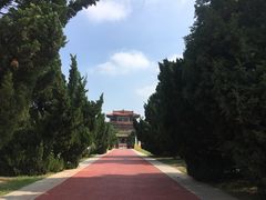 -曹州牡丹园