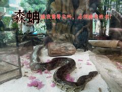 -大连森林动物园