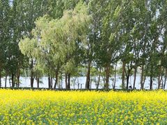 -长白岛森林公园