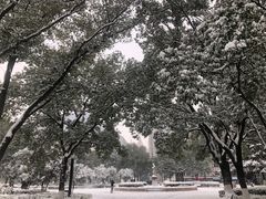 -中国地质大学图书馆