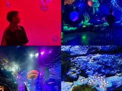 -沈阳海洋探索中心