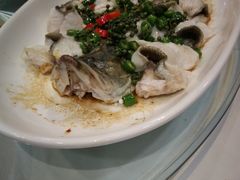 清蒸花椒桂花鱼-小榄公饭店·岭南庭院餐厅(民安北路店)
