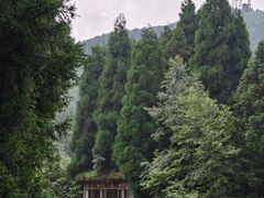 -武陵山森林公园