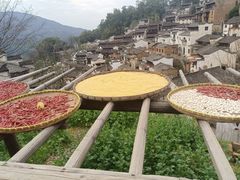 -婺源风景区