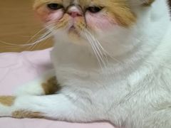 -沐沐家宠物(成寿寺店)