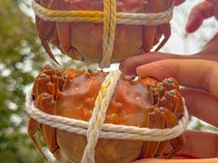 -阳澄湖大闸蟹·琼灵阁牌品牌连锁(吴中总店)