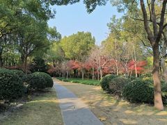 -黄兴公园