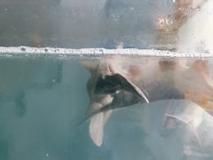 -漓江又一軒·广西菜·桂林米粉(梅林店)