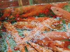 -天天海鲜城·海鲜大排档(新溪店)