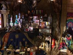 -雪灵魔法世界SHELLY’S TAROT(大良桂畔里店)
