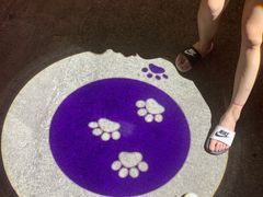 -猫咪博物馆(顶澳仔猫街店)