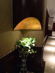 -YESIDO椰岛造型烫发染发