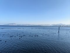 -大理洱海