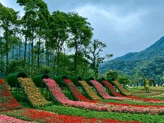 -广州市石门国家森林公园