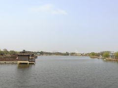 -杭州湾海上花田景区