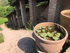 -远山有窑