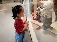 -济州岛泰迪熊博物馆