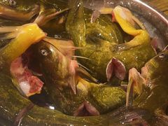 -亮欢寨酸汤鱼(沙冲路店)