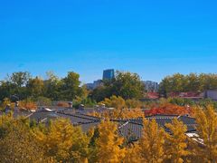 -龙湖星悦荟(颐和店)