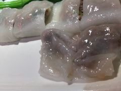 -南枝记