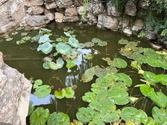 -莲池书院博物馆