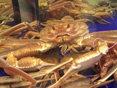 -蟹道乐(道顿堀本店)