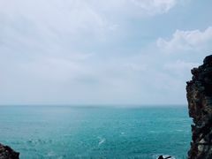 -杨梅坑