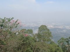 -水濂山森林公园