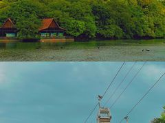 -广州长隆野生动物世界