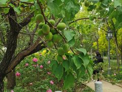 -天津武清北运河郊野公园房车露营地