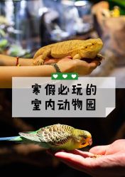 -酷嗒动物文化乐园(cutezoo西溪乐天城店)