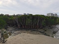 -霞山观海长廊