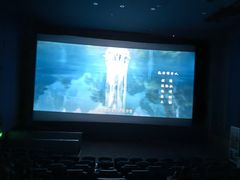 -华谊兄弟影院(IMAX洋桥店)