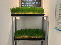 -朵朵开素食餐厅(后宰门街店)