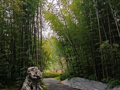 -河南省黄河迎宾馆