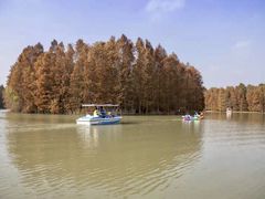 -上海海湾国家森林公园