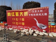 -吴桥杂技大世界