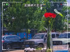 -蓝珊海鲜澳洲和牛自助餐厅