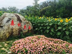 -广州市流溪河国家森林公园